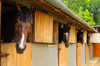 free Allensford stable construction quotes